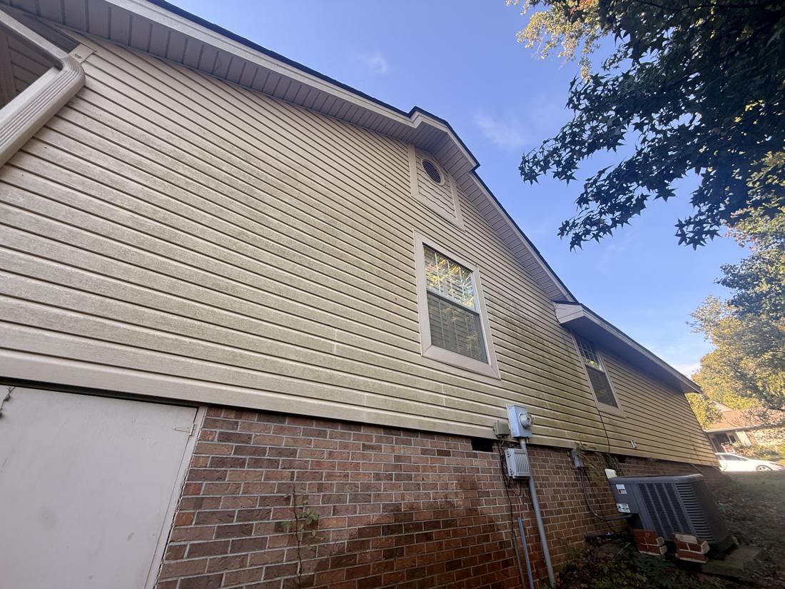 Tan vinyl siding with green mildew streaks