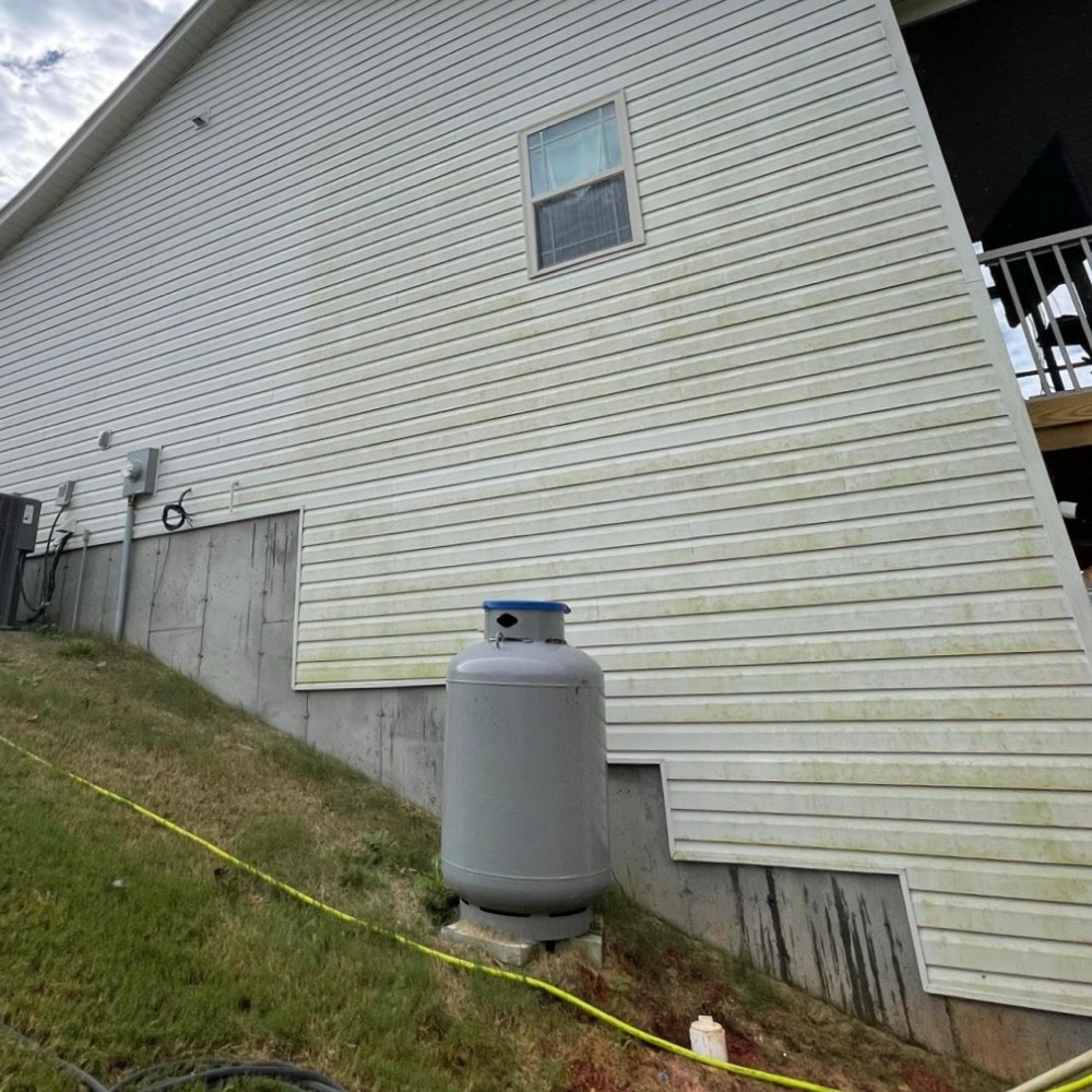 Same vinyl siding before cleaning: green mildew streaks